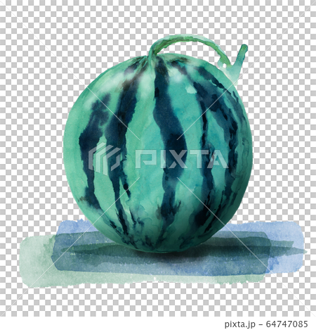 Watermelon watercolor 64747085