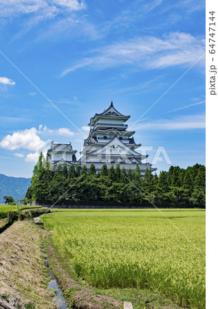 勝山城博物館 64747144