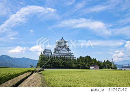 勝山城博物館 64747147