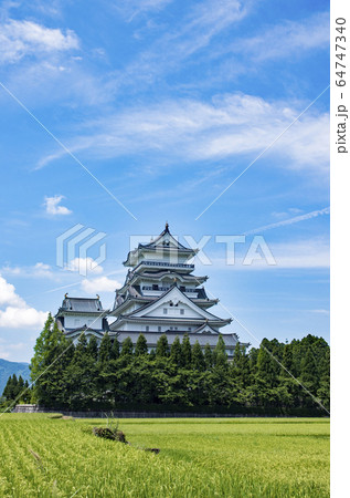 勝山城博物館 64747340