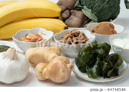 免疫力をアップさせる食材 64748586