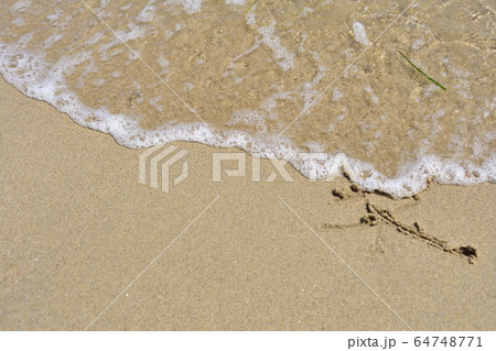 砂浜 砂浜 64748771