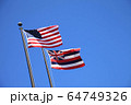 ハワイの州旗 64749326