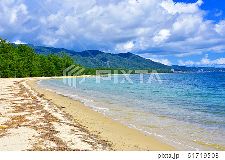 天橋立と周辺の風景 天橋立と周辺の風景 64749503