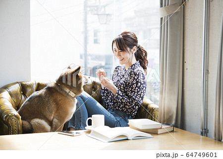 リビングルーム 女性 犬 リビングルーム 女性 犬 64749601