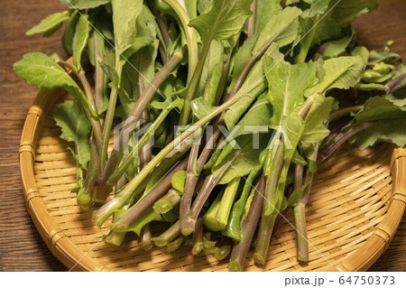 のらぼう菜 のらぼう菜 64750373