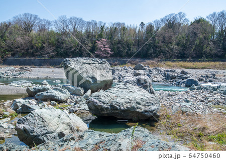 寄居玉淀水天宮前 玉淀河原 埼玉県寄居町 寄居玉淀水天宮前 玉淀河原 埼玉県寄居町 64750460