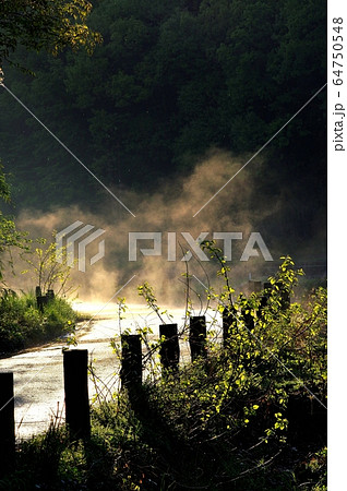 靄が立ち込める雨上がりの山間の道 靄が立ち込める雨上がりの山間の道 64750548