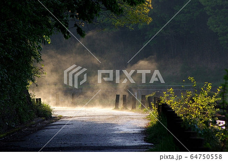 靄が立ち込める雨上がりの道の写真素材