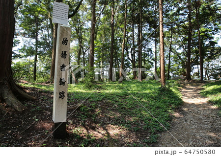 高天神城 64750580