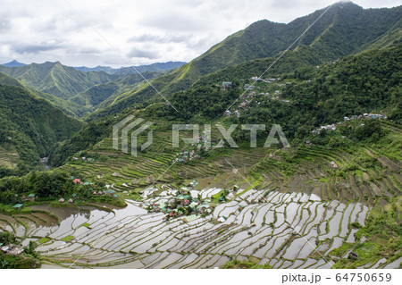 Batad rice terraces 64750659