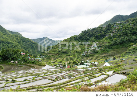 Batad rice terraces Batad rice terraces 64751116