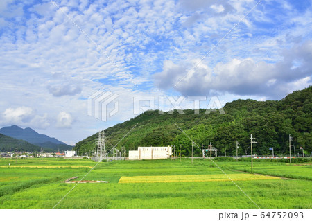 小浜線の車窓と沿線の風景 小浜線の車窓と沿線の風景 64752093