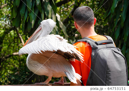 A guy takes a selfie next to a white pelican in a 64753151