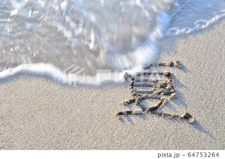 砂浜 砂浜 64753264