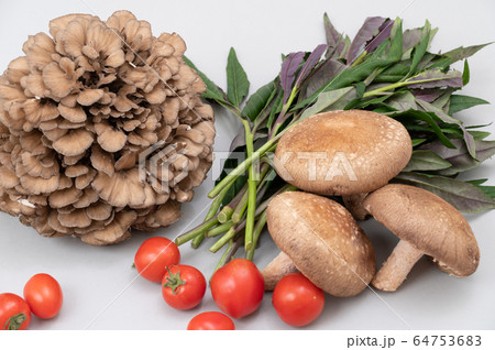 加賀野菜 太きゅうり 舞茸 ミディアムトマト 金時草 加賀野菜 太きゅうり 舞茸 ミディアムトマト 金時草 64753683