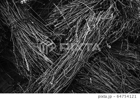 Firewood for roasting 64754121