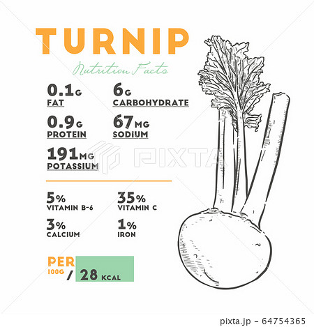 Set of Purpletop White Globe Turnips Turnip Drawing in Sketch Style Drawn  in Pencil Ink Stock Vector  Illustration of plant nutrition 219290476