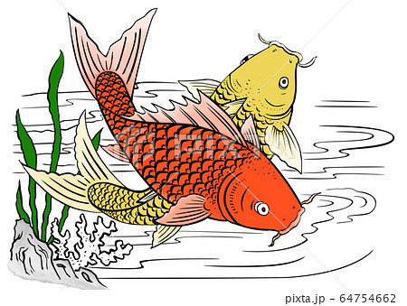 魚 魚類 サカナ 64754662