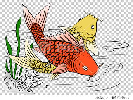 魚 魚類 サカナのイラスト素材