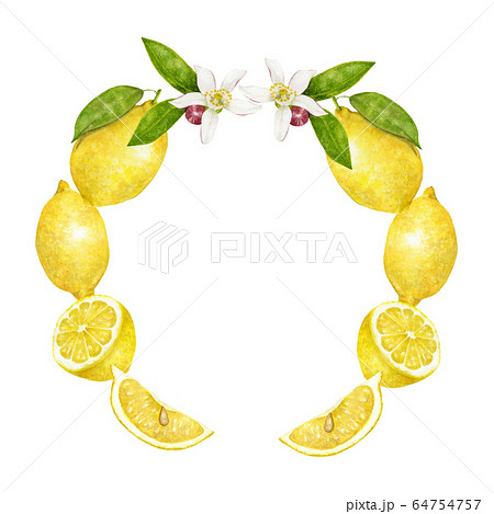 レモンフレーム 水彩イラストのイラスト素材