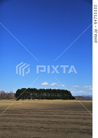 春の北海道・耕起前の畑 春の北海道・耕起前の畑 64755335