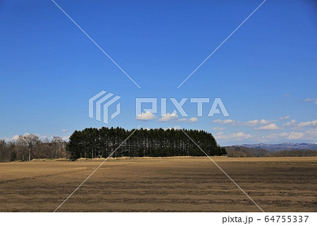 春の北海道・耕起前の畑 春の北海道・耕起前の畑 64755337