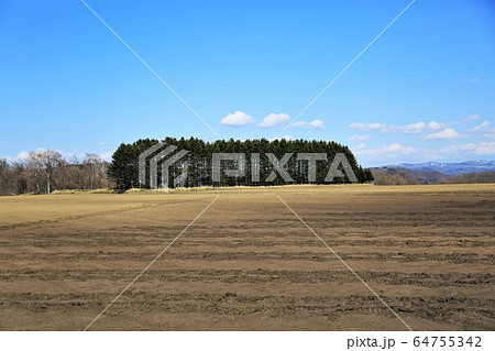 春の北海道・耕起前の畑 春の北海道・耕起前の畑 64755342