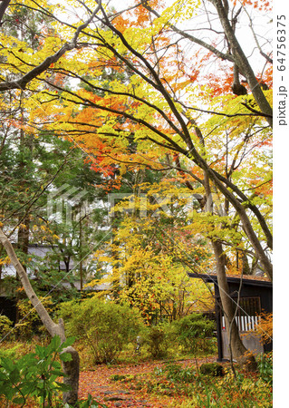 角館　武家屋敷の紅葉 64756375