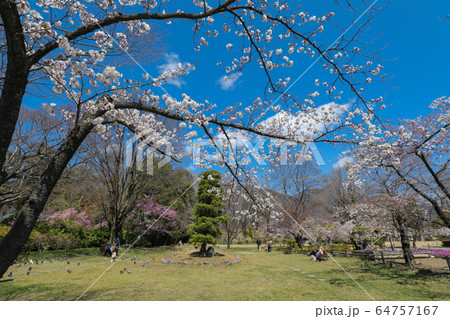 上田城跡公園 憩いの広場 上田城跡公園 憩いの広場 64757167