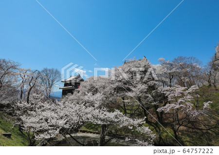 上田城跡公園 櫓と桜 上田城跡公園 櫓と桜 64757222