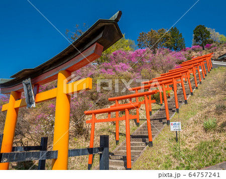 天橋立雪舟観展望台 64757241