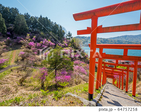 天橋立雪舟観展望台 64757258