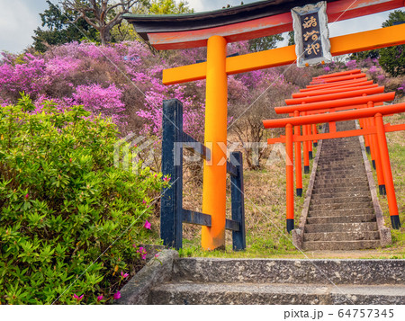 天橋立雪舟観展望台 64757345