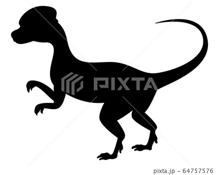 Dilophosaurus dinosaur silhouette isolated on 64757576