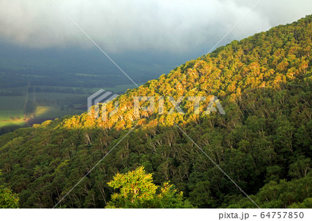 狩勝峠からの眺望 狩勝峠からの眺望 64757850