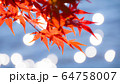 榛名湖　紅葉と水面 64758007