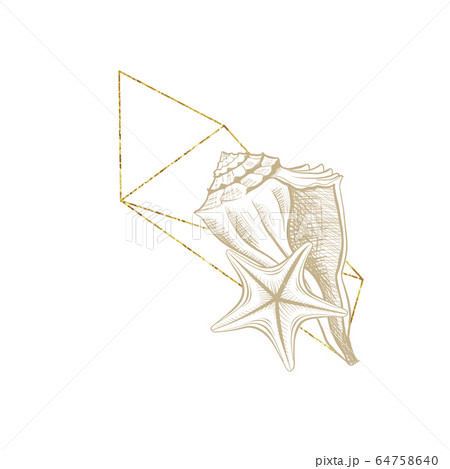 Marine sea shell line art, golden frame wreath 64758640