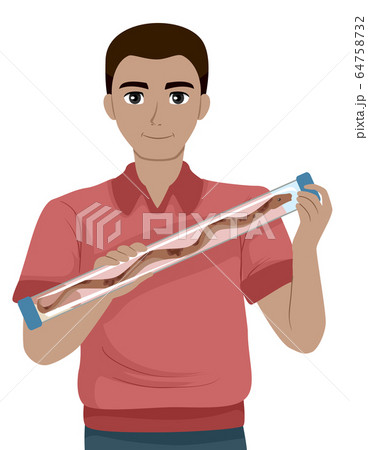 Man Snake Restraint Tube Illustration 64758732