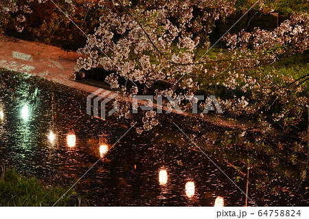 夜の花筏 夜の花筏 64758824