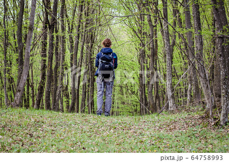 woman trekking alone in green forest woman trekking alone in green forest 64758993