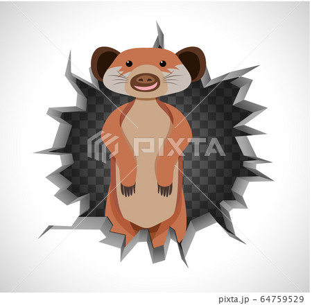 Cute meerkat coming out of cracked wall 64759529