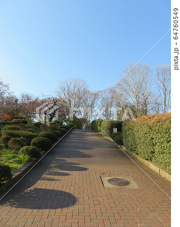 遊歩道 遊歩道 64760549