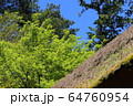 茅葺屋根と空 64760954