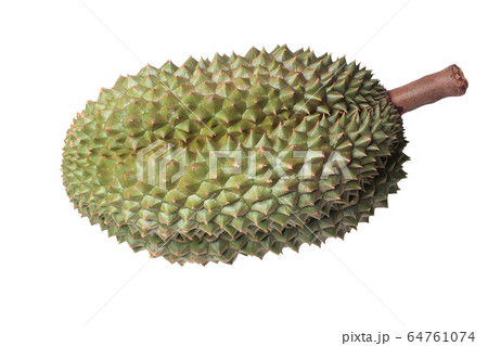 The big ripe Chanee Durian 64761074