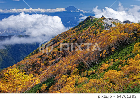 鳳凰三山・観音岳稜線から見る地蔵岳とダケカンバの黄葉 64761285