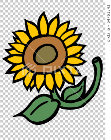 Sunflower Sunflower 64761543