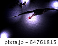 黒鳥　飛来の瞬間 64761815