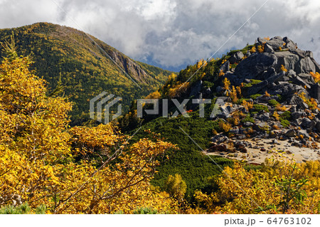 鳳凰山・薬師岳から見る砂払岳・辻山とダケカンバの黄葉 64763102