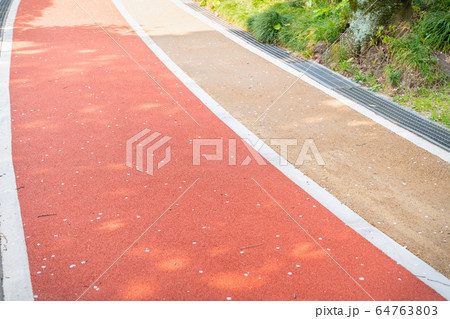 公園の遊歩道の写真。健康・運動のイメージ。 64763803